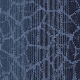 Interface Cellular / Bouclée / 50 cm x 50 cm / Bleu