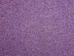 Interface Heuga 568 / Bouclée / 50 cm x 50 cm / Violet