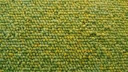 Interface Heuga 584 / Bouclée / 50 cm x 50 cm / Vert