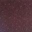 Interface Heuga 377 Floorscape / Velour / 50 cm x 50 cm / Marron / 1