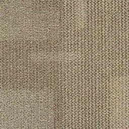 Interface Entropy II / Bouclée / 50 cm x 50 cm / Beige