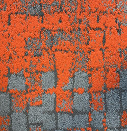 Vous recherchez des dalles de moquette Interface? Human Connection dans la couleur Moss Grey/Orange 4.000 est un excellent choix. Voir ceci et d