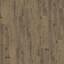 Vous recherchez des dalles de moquette Interface? LVT Textured Woodgrains Planks (Vinyl) dans la couleur Antique Maple est un excellent choix. Voir ceci et d