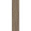 Interface Net Effect B701 Planks / Bouclée / 25 cm x 100 cm / Beige / 1